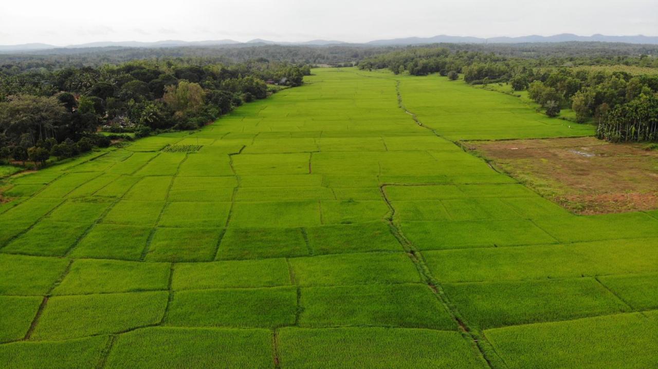 Ibbani Homestay, Siddapur 외부 사진