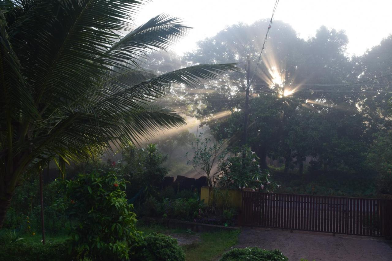 Ibbani Homestay, Siddapur 외부 사진