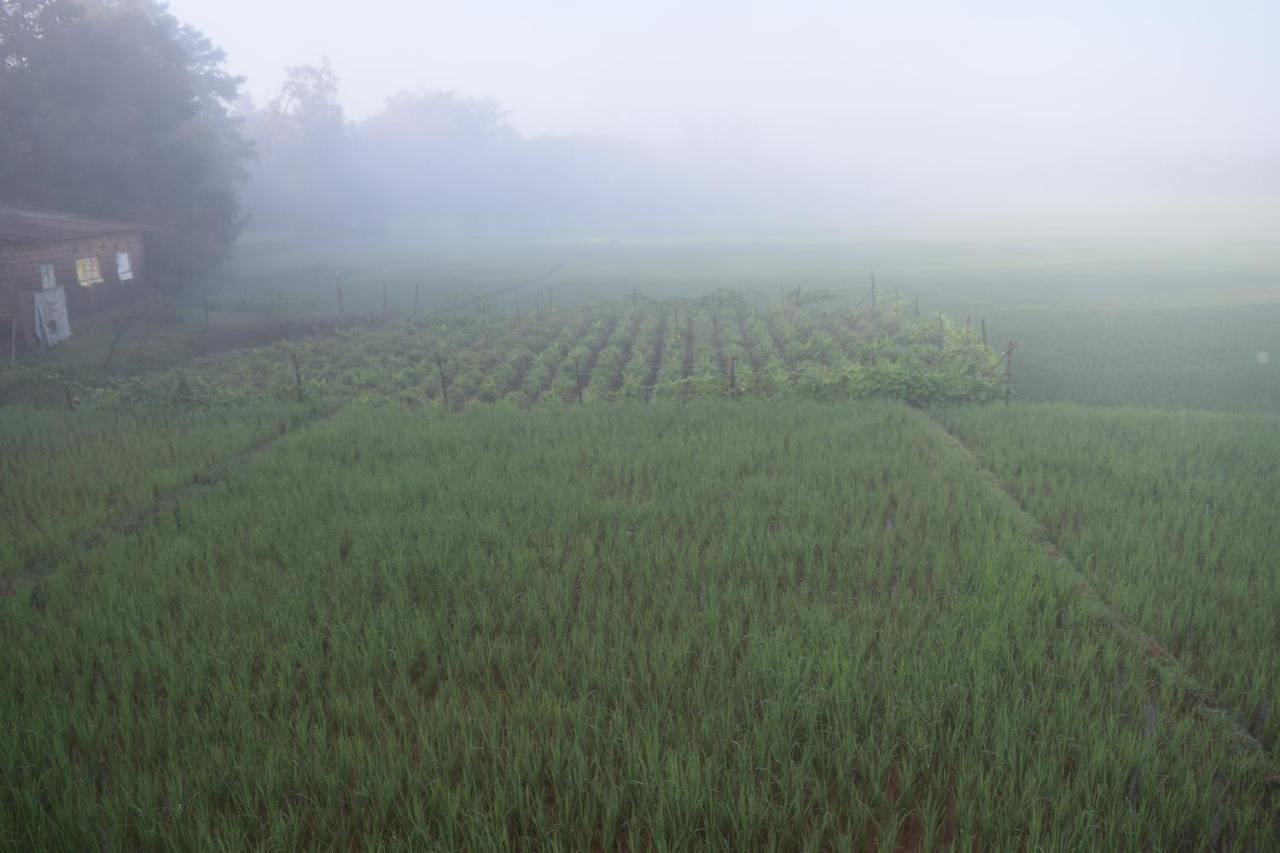 Ibbani Homestay, Siddapur 외부 사진