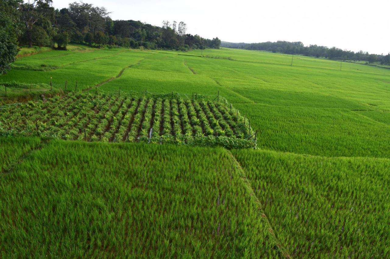 Ibbani Homestay, Siddapur 외부 사진