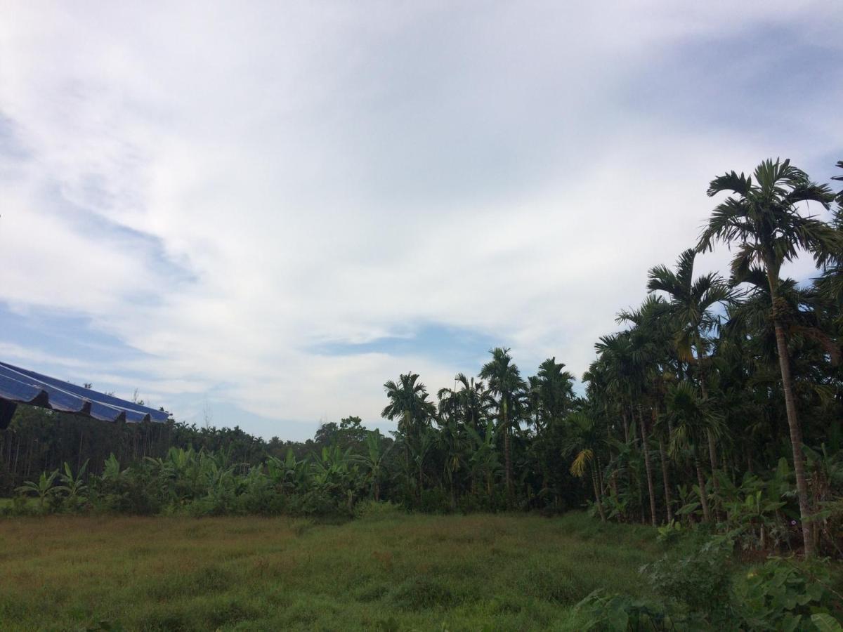 Ibbani Homestay, Siddapur 외부 사진